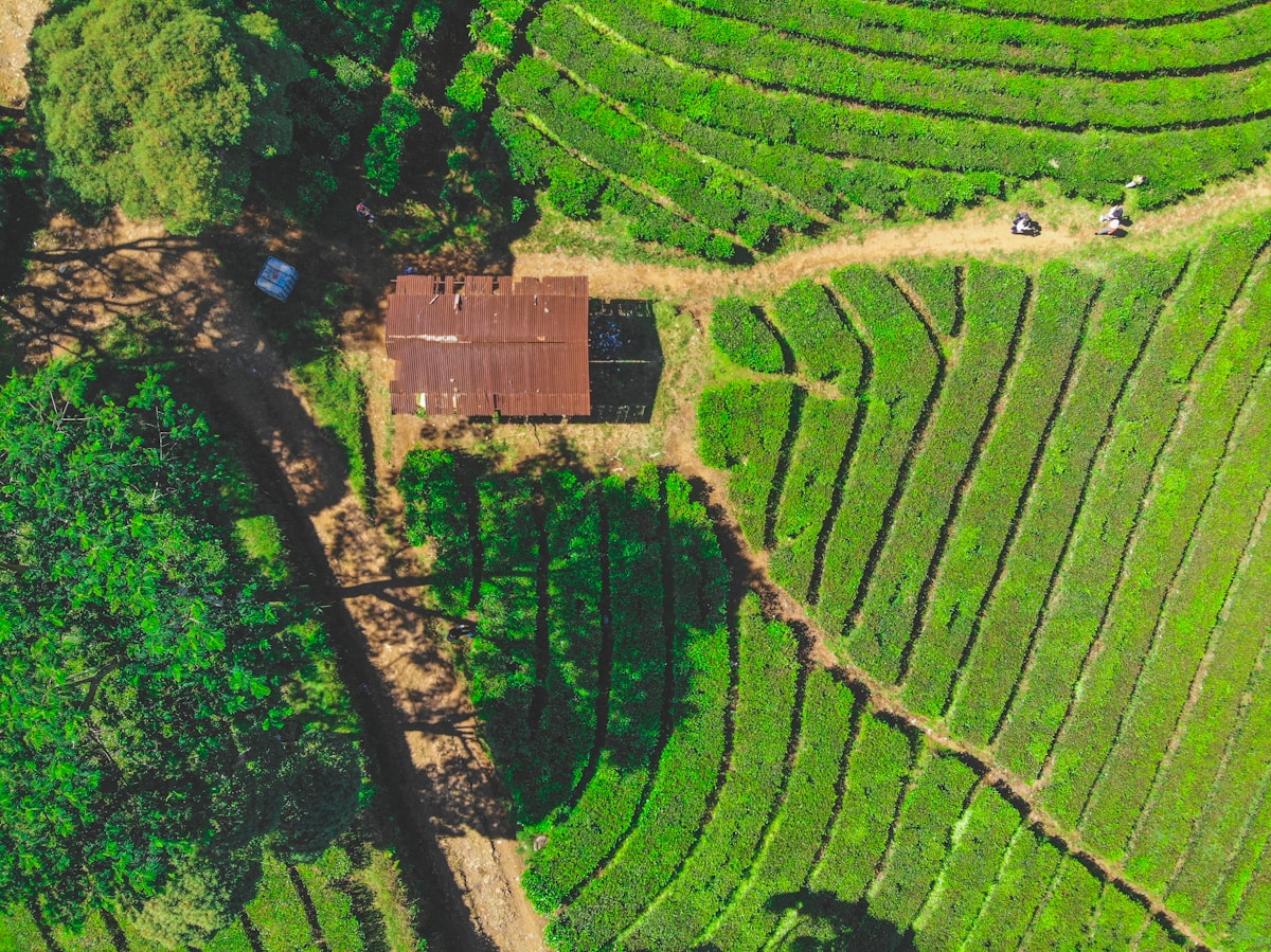 Latest Bandung Tourist Attractions — 2026 Picks
